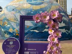 -海合安成都极地海洋公园