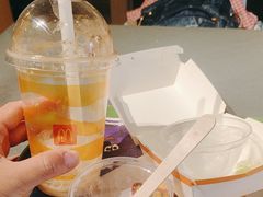 -麦当劳(花园北路店)