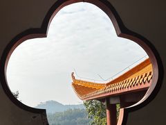 -深圳仙湖植物园