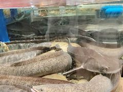 -阿伟海鲜楼·福建菜(延寿店)