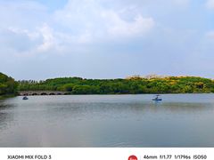 -昆山城市生态森林公园