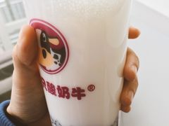 -朱氏胖子烂火锅(洪崖洞店)