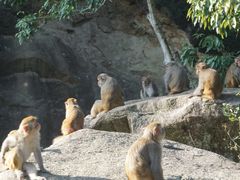 -姑婆山旅游区