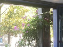 -伟伟宠物医院·CT影像中心·瑞派犬猫综合性门诊(汉口总院)