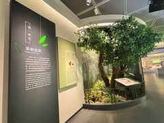 -中国茶叶博物馆(双峰馆区)