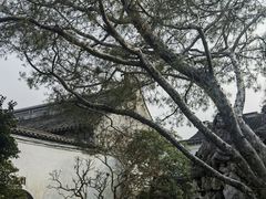 -乡亲鹅肉城(吴江店)
