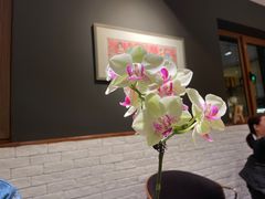 -BOCATA 西班牙餐厅(三里屯店)