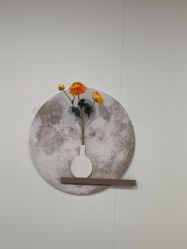 -北京京通医院医疗美容