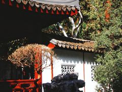 -复旦大学附属华山医院(总院)