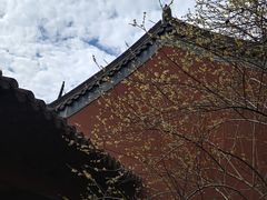 -钱王祠