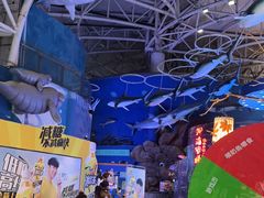 -烟台海昌鲸鲨海洋公园