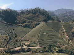 -龙坞茶村