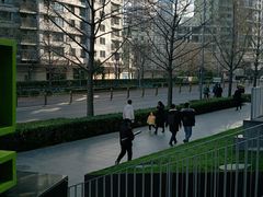 -海盗虾饭·剥好的小龙虾饭(SOHO尚都店)