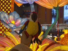 -苏梦江南·淮扬菜(夫子庙店)