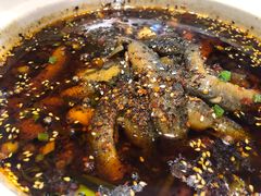 -情妹妹干锅锅(中海国际购物公园店)