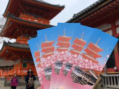 -有栖山 清光院 清水寺