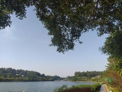 -南国桃园旅游度假区