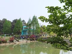 -铁山坪森林公园