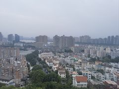 -福道
