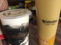 -娃哈哈·奶茶(武林店)