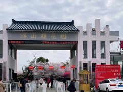 -天王浮山樱花园