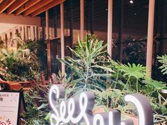 -Seesaw Coffee(朝阳大悦城店)