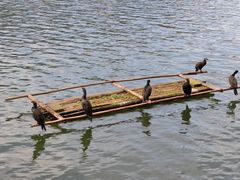 -新安江山水画廊风景区
