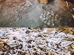 -二连浩特国家地质公园