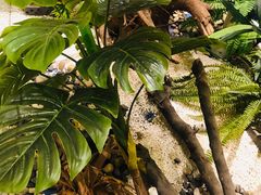 -柴米油盐(土菜院子店)