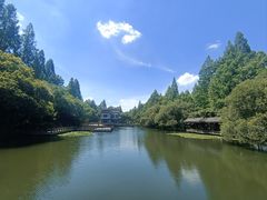 -知味观·味庄(杨公堤店)