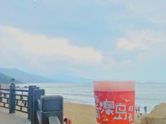 -南澳岛打卡果汁冰公司
