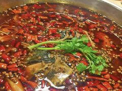 -味之绝热血美蛙鱼火锅(中坝店)
