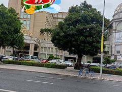 -十三姨工厨顺德美食·宴会·团餐(天河北路店)