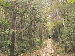 -冶父山国家森林公园