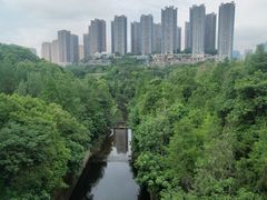 -重庆彩云湖湿地公园