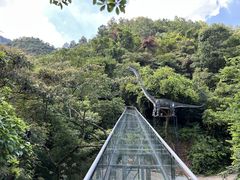 -南丹山森林王国