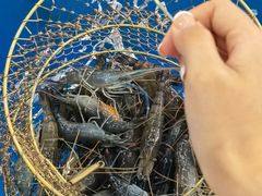 -SHRIMP CLUB万东餐饮钓虾·清吧