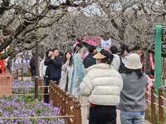 -江苏三台山国家森林公园