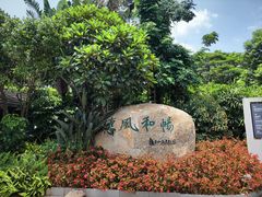 -惠和石文化园