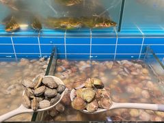 -金滏山·烤肉海鲜火锅自助(襄阳万达店)