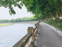 -成都南湖公园