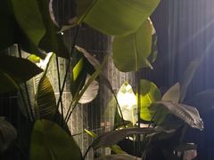 -涟LIAN·泰式按摩·MASSAGE·SPA(华强北店)