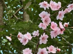 -同里国家湿地公园