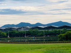 -紫马岭公园