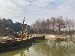 -合肥野生动物园