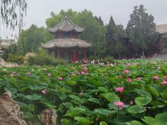 -莲池书院博物馆