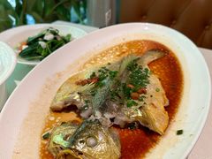 -维园悦谱·海派家常菜(乌鲁木齐南路店)