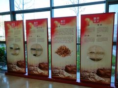 -中国中医科学院西苑医院(本部)