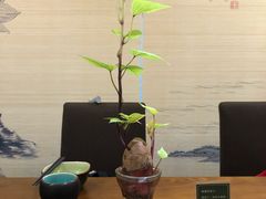 -十二舍·湯物素煮(江泰潤政店)