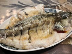 -田螺阿姨自营月嫂·育儿嫂(高新店)